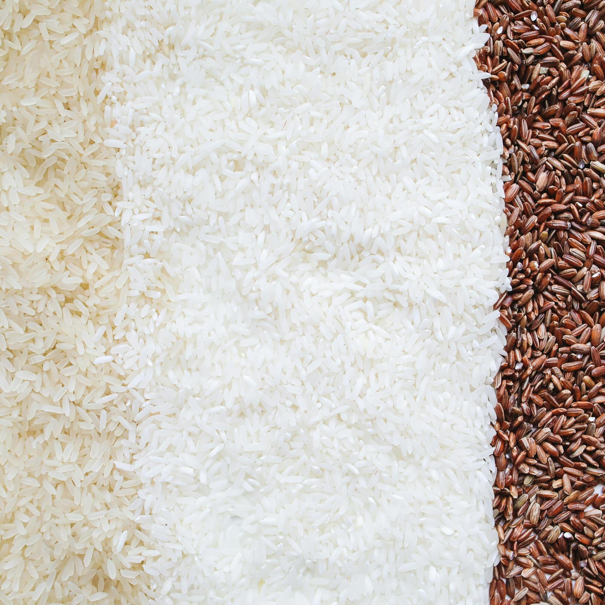 Organic Rice